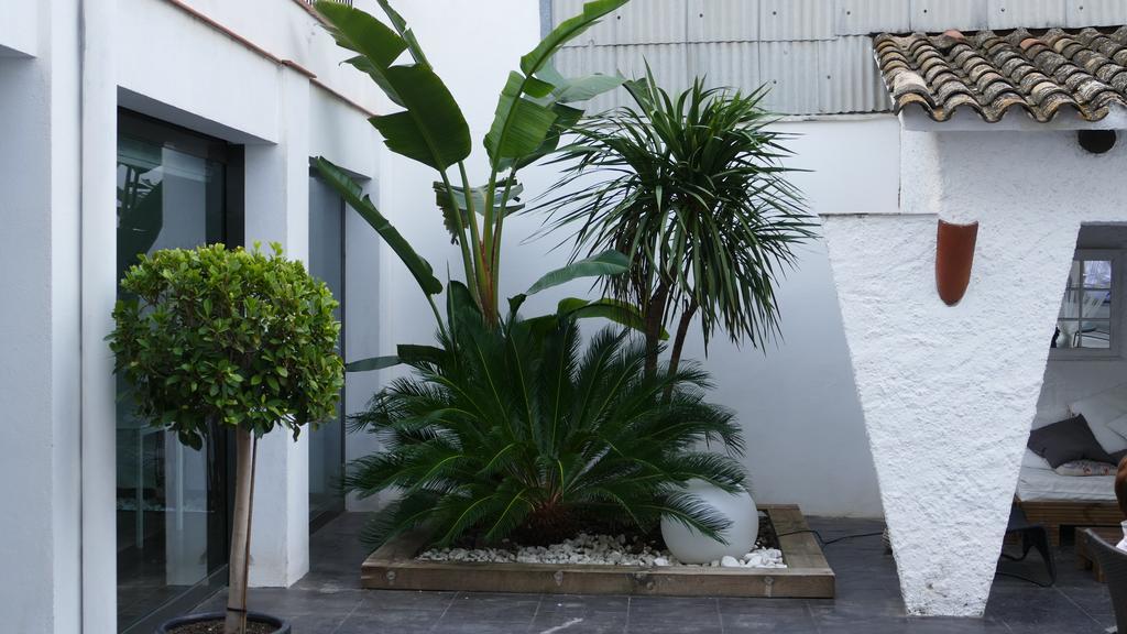 Hotel Salome Calafell Exterior foto